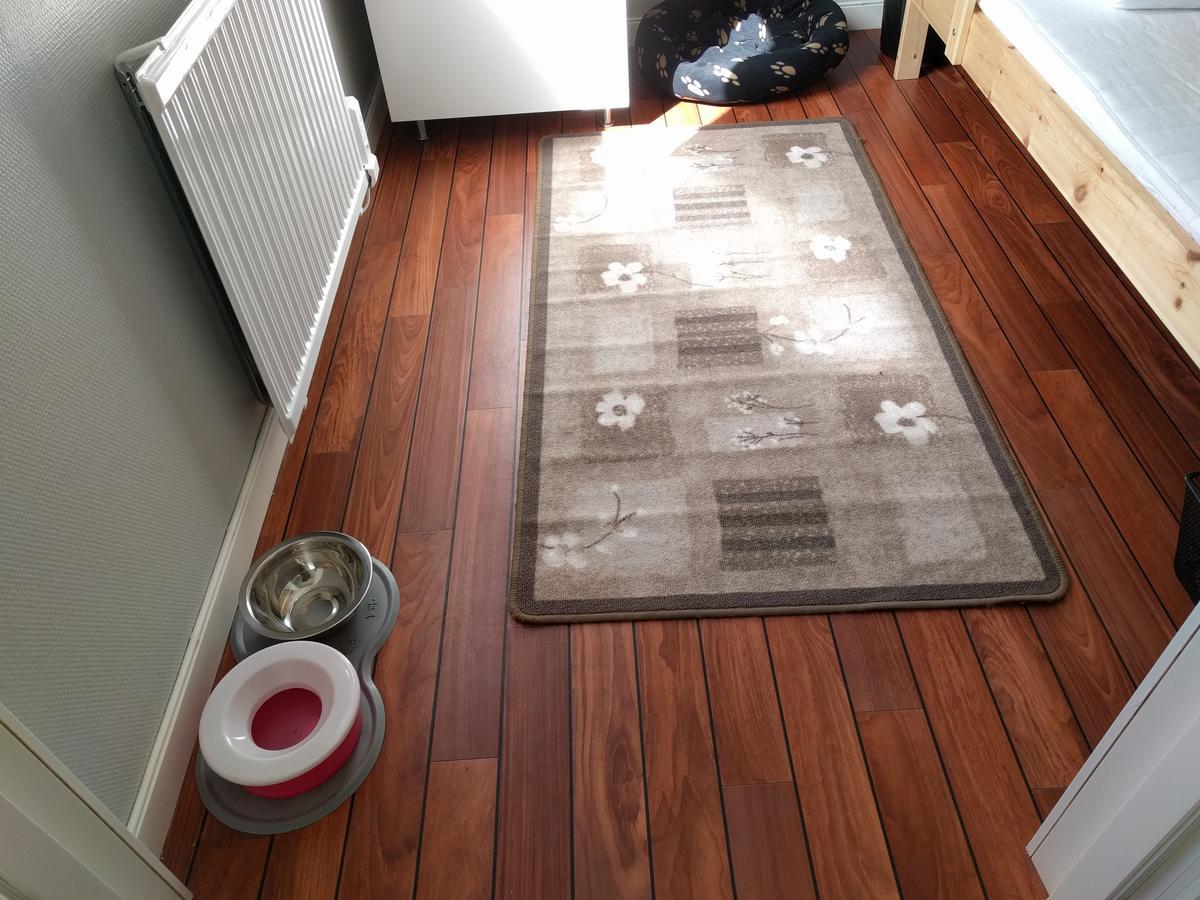 Degeberga Olserods Hundcenter & Vandrarhem מראה חיצוני תמונה