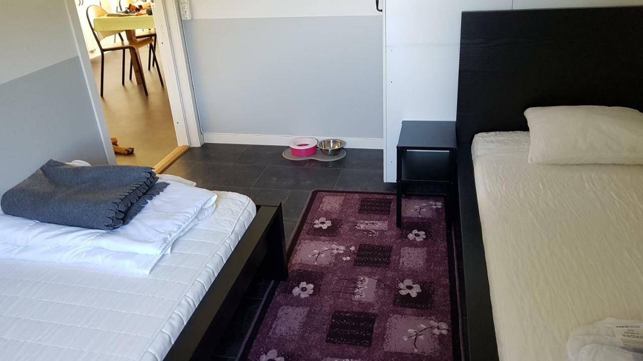 Degeberga Olserods Hundcenter & Vandrarhem מראה חיצוני תמונה